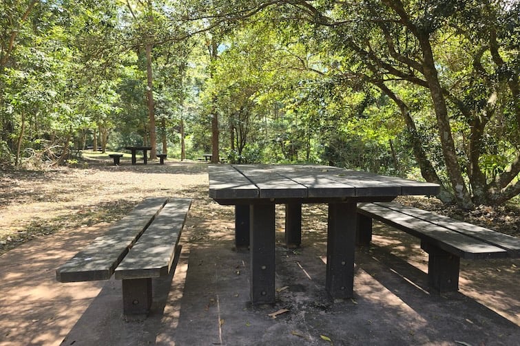Picnic tables at The Gantry Day Use Area at D'Aguilar National Park, Mt Mee.