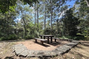 Picnic tables at The Gantry Day Use Area at D'Aguilar National Park, Mt Mee.