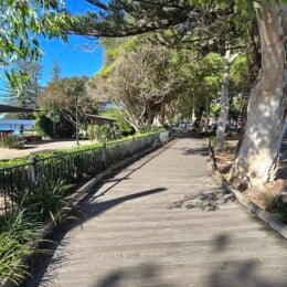 Boardwalk and trees beside Scarborough Beach Park.