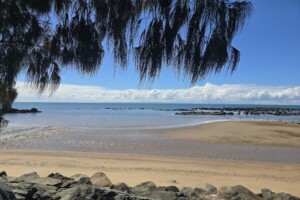 Water views from Settlement Cove Lagoon in Redcliffe.
