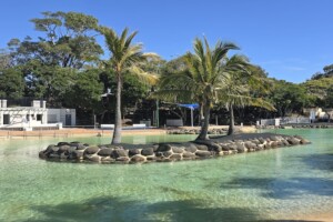 Island at Settlement Cove Lagoon in Redcliffe.