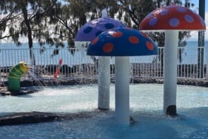 Water mushrooms and spouting worm in the toddler play area at Settlement Cove Lagoon in Redcliffe.