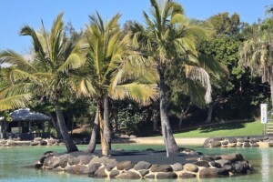 Little island with palm trees at Settlement Cove Lagoon in Redcliffe.