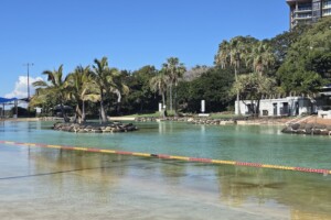 Palme trees and water at Settlement Cove Lagoon in Redcliffe.