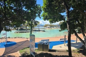 View of Settlement Cove Lagoon in Redcliffe.