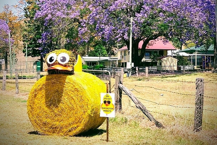 Darlington State School Markets & The Great Duck Race 