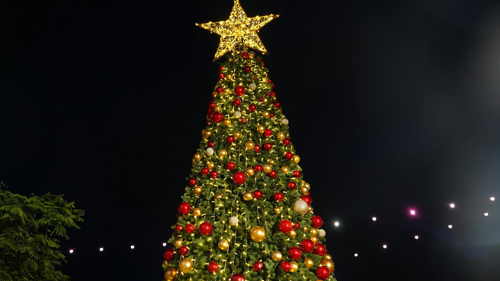 Redlands Coast Lighting of the Christmas Tree