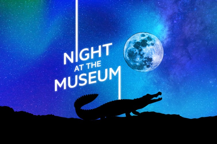 night at the museum queensland museum