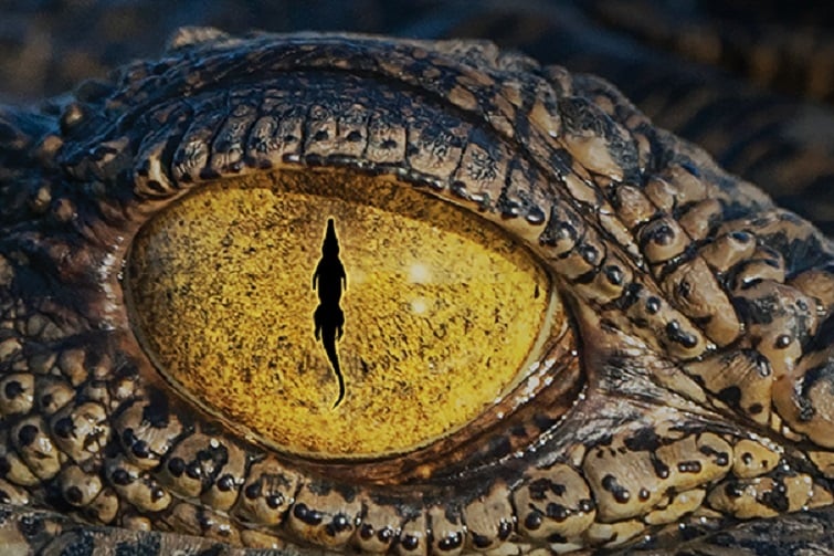 Croc! Lost Giants to Living Legends