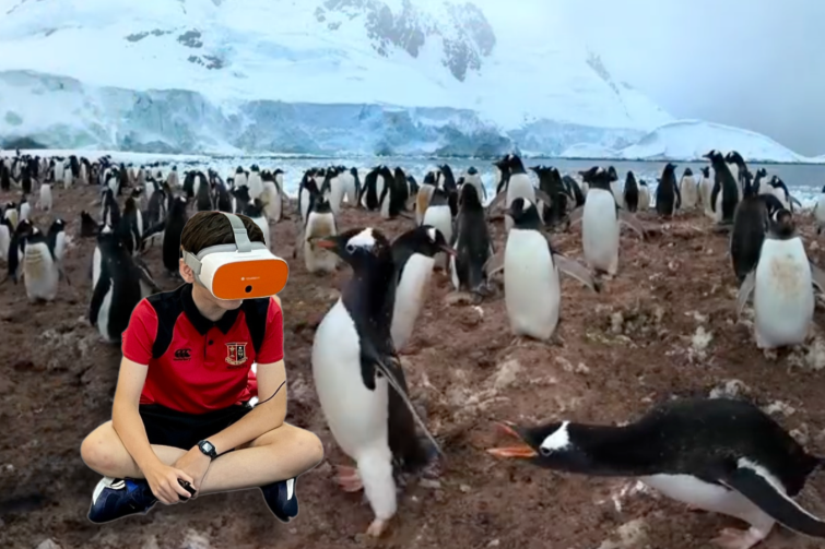 Virtual Science incursions student with VR headset on surrounded by penguins