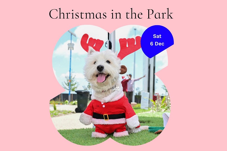 Christmas in the Park @ Shoreline