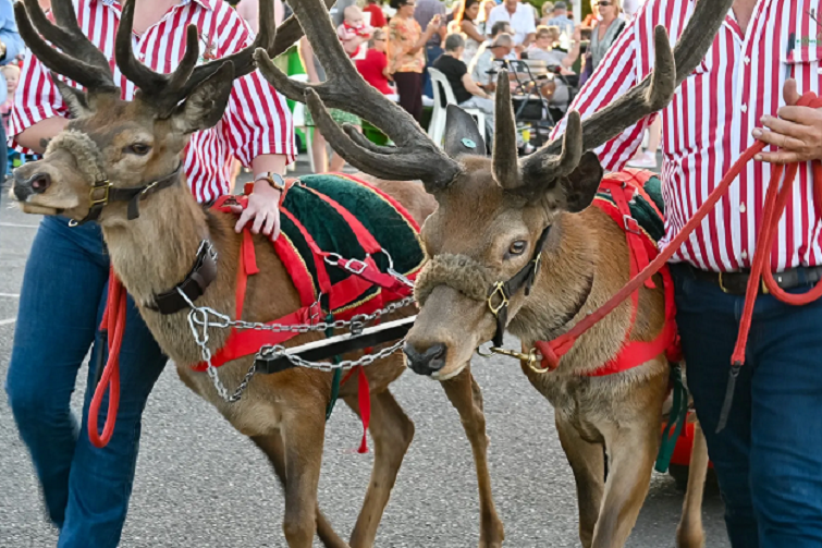 Lockyer Valley Christmas Carnival