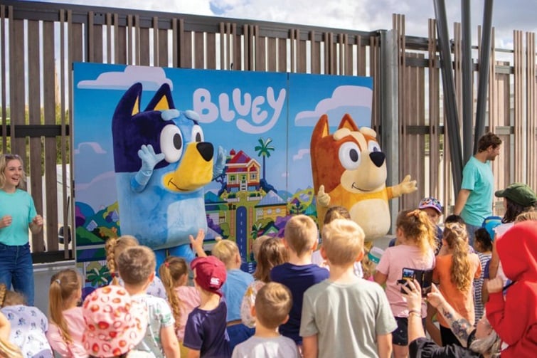 Bluey & Bingo Live at Nicholas Street Precinct