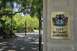 Gated entrance at Brisbane City Botanic Gardens.