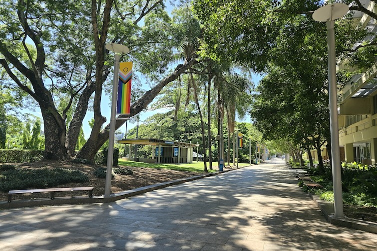 Pathway at Brisbane City Botanic Gardens.