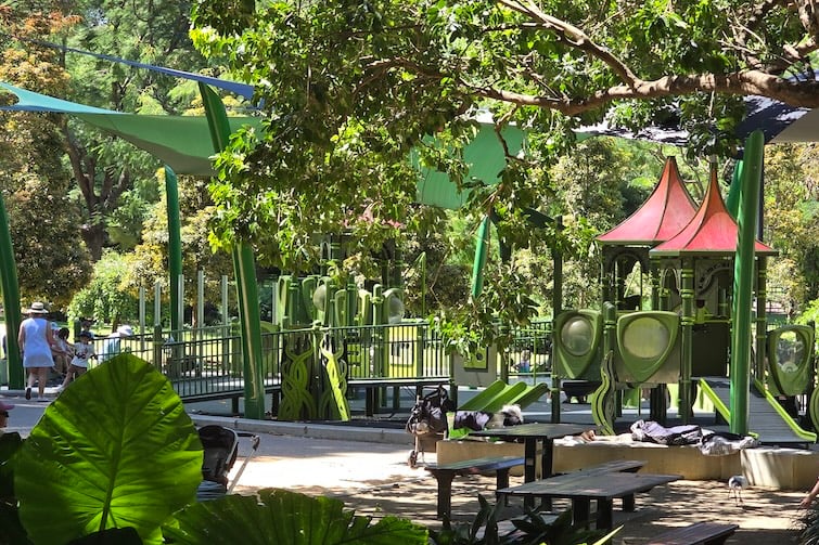 Play equipment at Brisbane City Botanic Gardens playground.