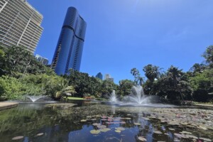 Fountains in the pond at Brisbane City Botanic Gardens.