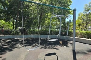 Swings at Brisbane City Botanic Gardens playground.
