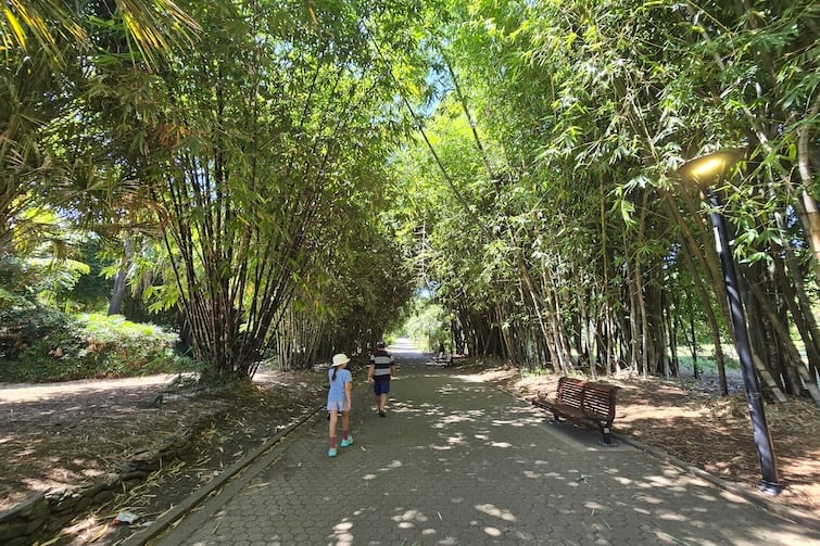 Family walking at Brisbane City Botanic Gardens.