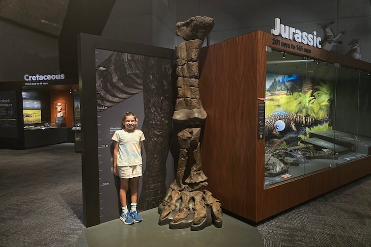 Girl standing next to dinosaur leg comparing heights at Dinosaurs Unearthed at Queensland Museum Kurilpa.