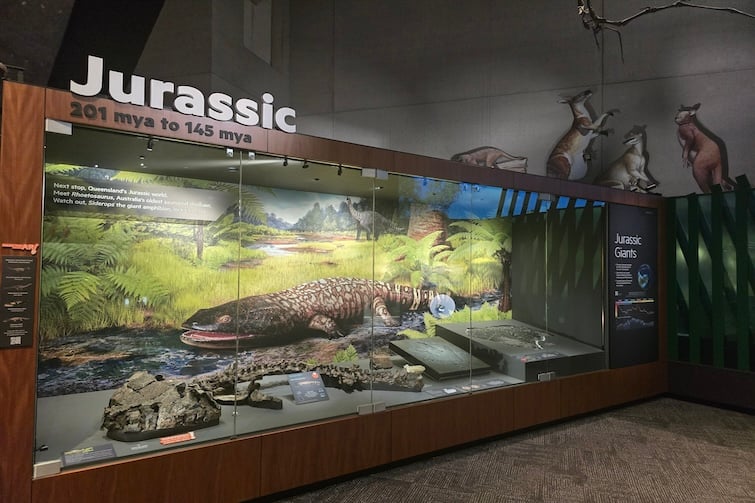 Jurassic display at Dinosaurs Unearthed at Queensland Museum Kurilpa.