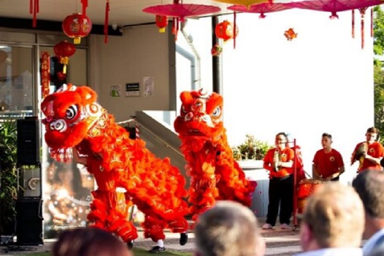 Lunar New Year - Lighting New Beginnings