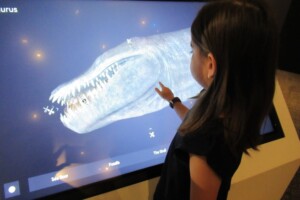 Girl using touchscreen at Dinosaurs Unearthed at Queensland Museum Kurilpa.