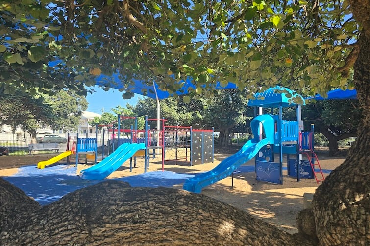 Playground under the trees at Arthur Davis Park.