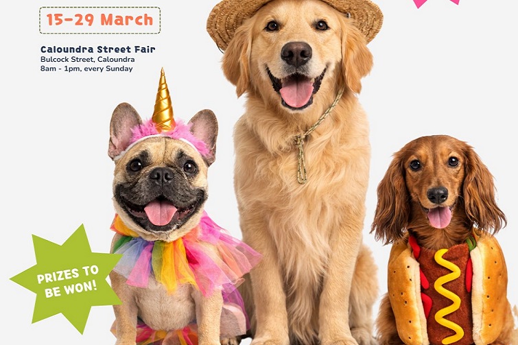 Caloundra Street Fair's Best Dressed Dog Competition