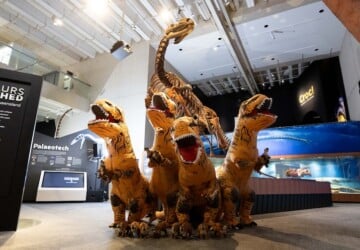 Inflatable dinosaurs at Queensland Museum Kurilpa for the launch of Dinosaur Week.
