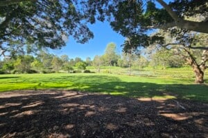 Grassy area by the lagoon at Harold Kielly Park.