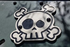 Skull and cross bones at Harold Kielly Park.