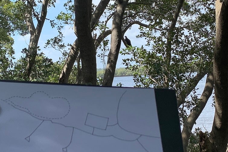 Nature Journaling: Map Your Wild Adventure @ Osprey House