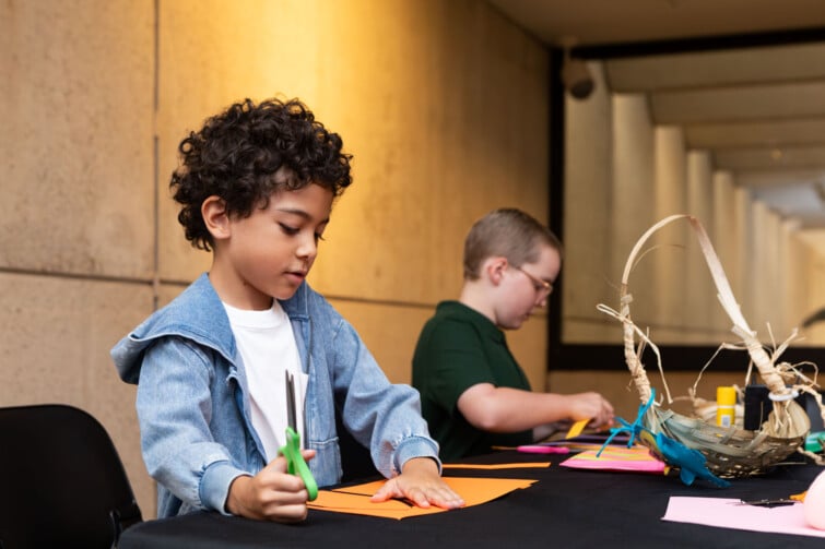 dilly bags qld museum