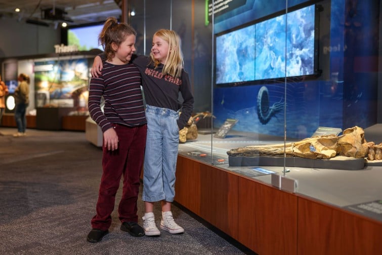 night at the museum
