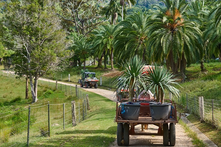 Heritage Acres Family Day Out 