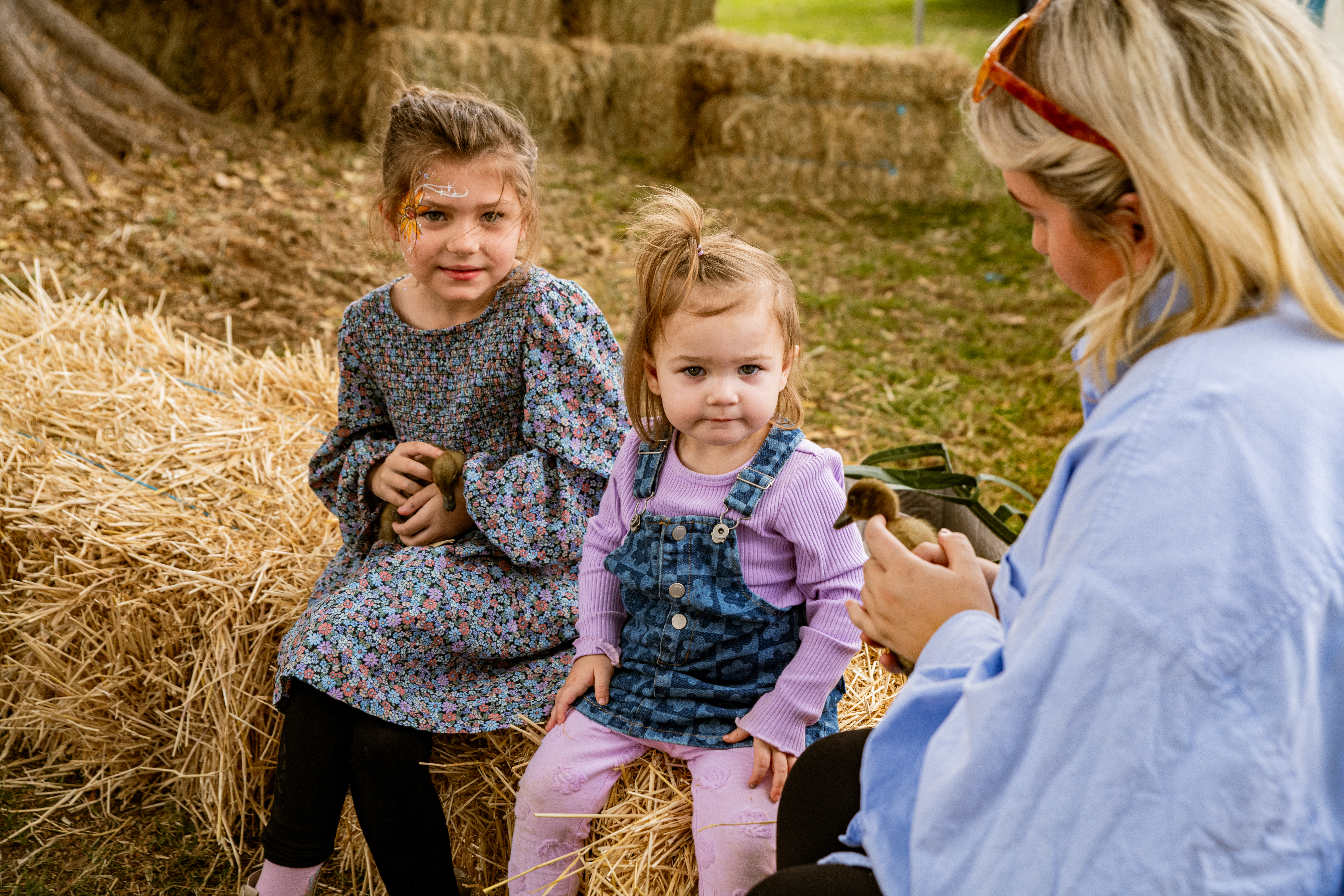 Winter Harvest Festival 2026