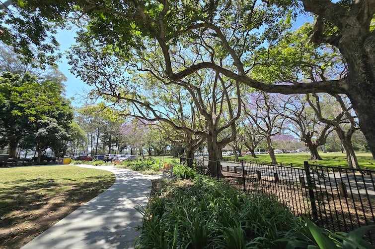 Trees and pathway at Colmslie Beach Reserve.