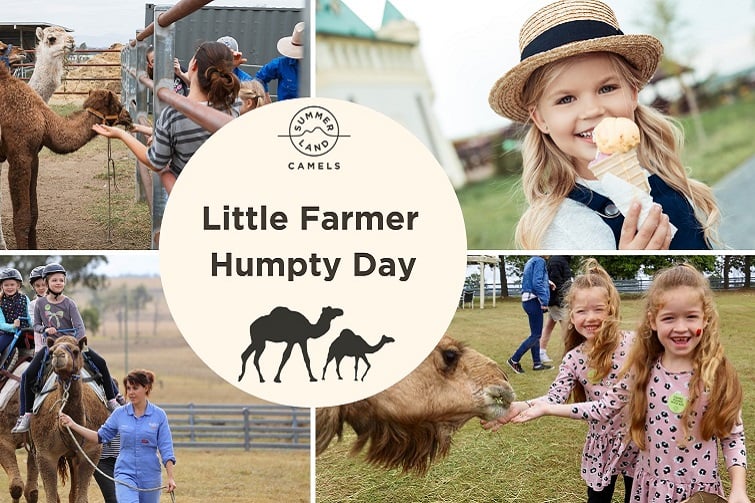 Little Farmer Humpty Day at Summer Land Camels
