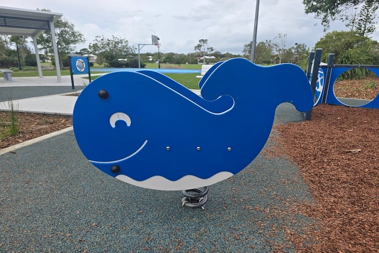 Whale rocker at Newport Park.