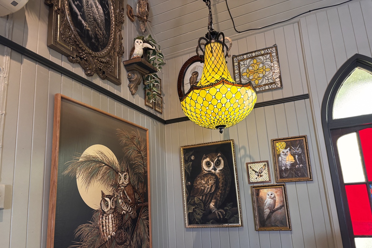 owlery cafe owl decorations.