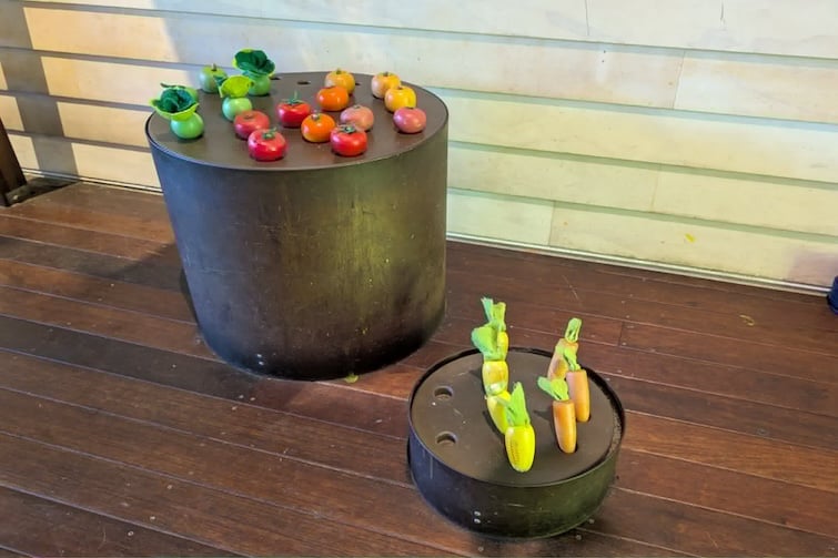 Toy veggie patch in the play area at The Full Moon Hotel, Sandgate.