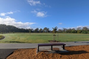 Bench seat beside grassy area at Thistle Place Park, Palmview.