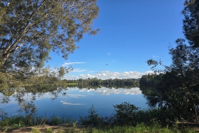 The lake at the Moreton Bay Central Lakes walk.