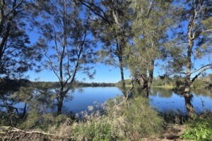 Lake vies at the Moreton Bay Central Lakes walk.