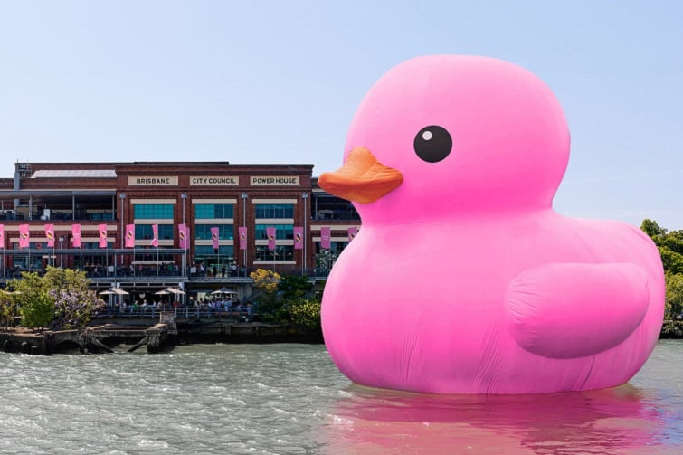 rubber duck