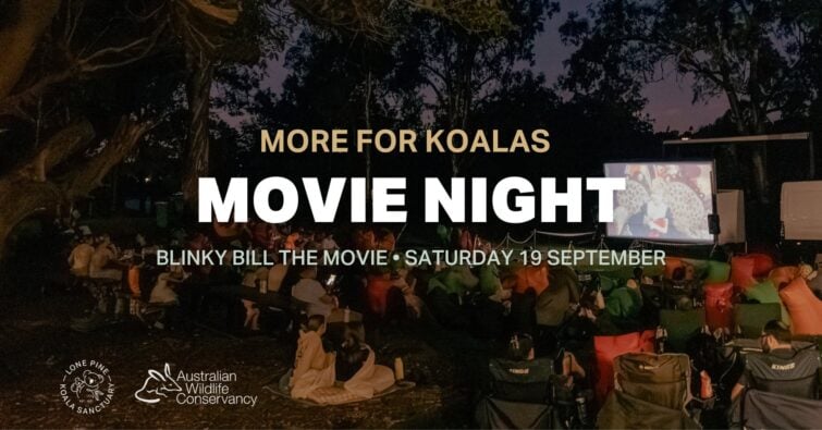 More for Koalas - FREE Movie Night