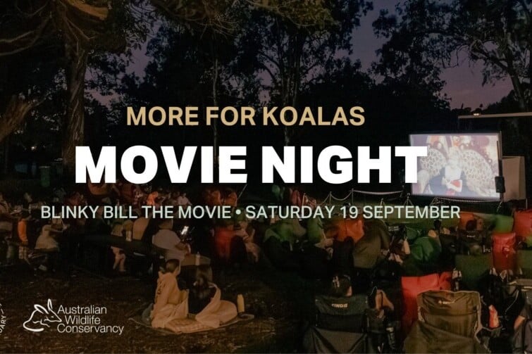 More for Koalas – FREE Movie Night