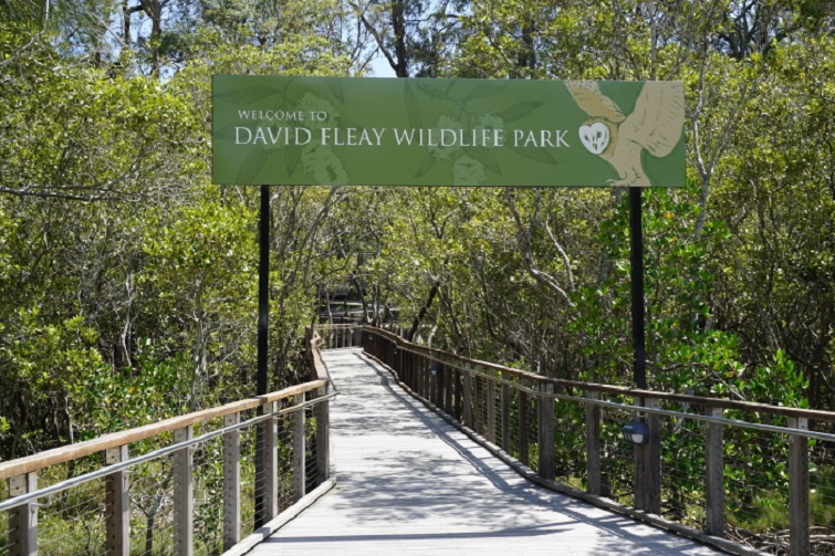 David Fleay Wildlife Park Community Open Day