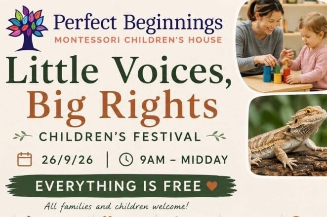 Little Voices, Big Rights